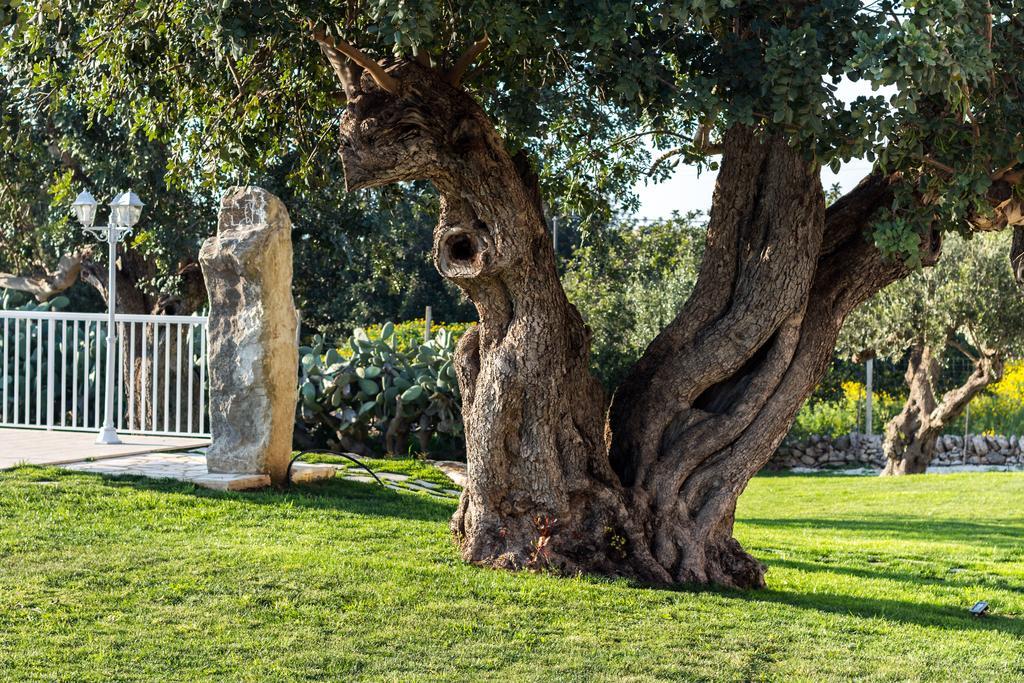 Apartament Il Giardino Dei Frangipani Santa Croce Camerina Zewnętrze zdjęcie